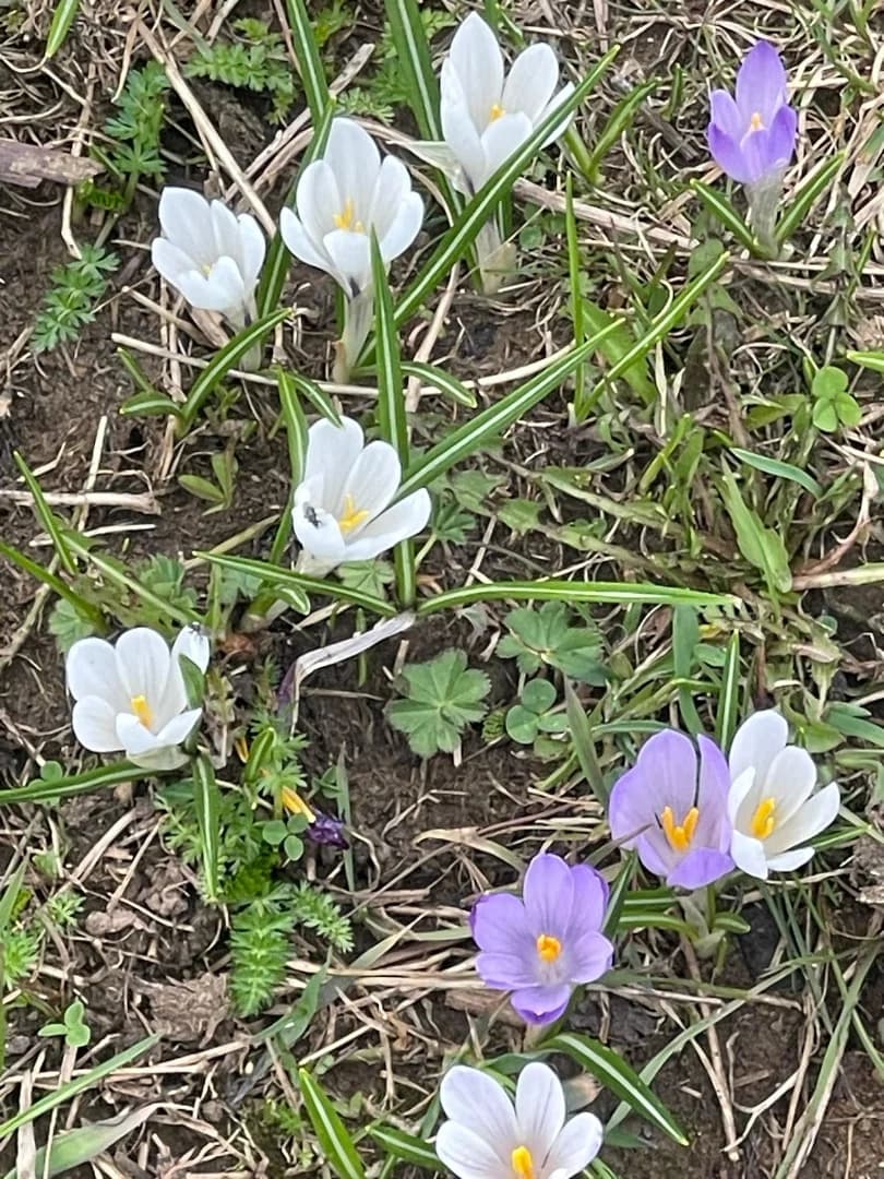 Si organizzano gruppi di digiunoterapia